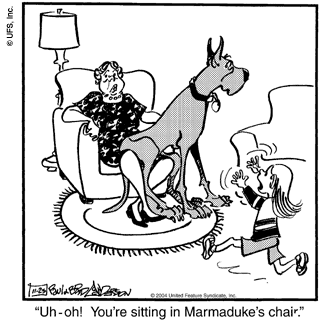 marmaduke